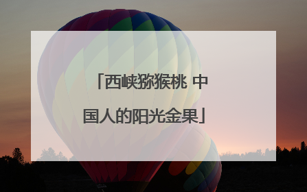 西峡猕猴桃 中国人的阳光金果