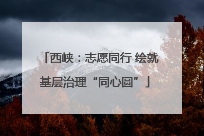 西峡：志愿同行 绘就基层治理“同心圆”