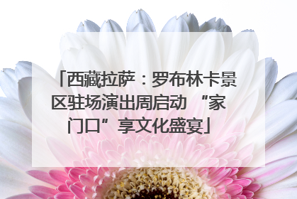 西藏拉萨：罗布林卡景区驻场演出周启动 “家门口”享文化盛宴