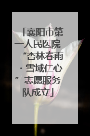 襄阳市第一人民医院“杏林春雨・雪域仁心”志愿服务队成立
