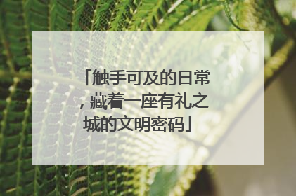触手可及的日常，藏着一座有礼之城的文明密码