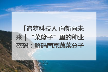 追梦科技人 向新向未来｜“菜篮子”里的种业密码：解码南京蔬菜分子育种的创新之路