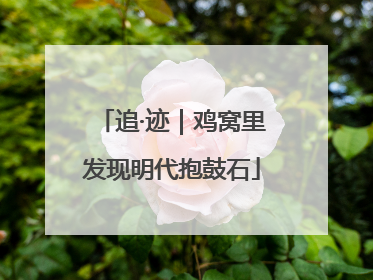 追·迹｜鸡窝里发现明代抱鼓石