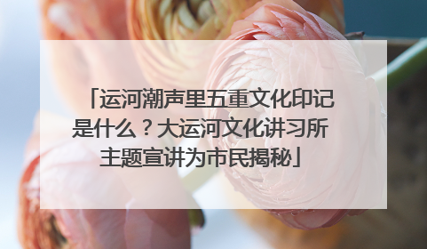 运河潮声里五重文化印记是什么？大运河文化讲习所主题宣讲为市民揭秘