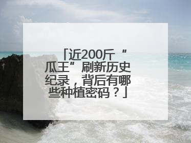 近200斤“瓜王”刷新历史纪录，背后有哪些种植密码？