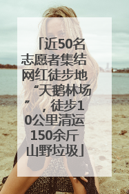 近50名志愿者集结网红徒步地“天鹅林场”，徒步10公里清运150余斤山野垃圾