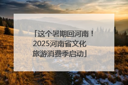 这个暑期回河南！2025河南省文化旅游消费季启动