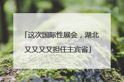 这次国际性展会，湖北又又又又担任主宾省