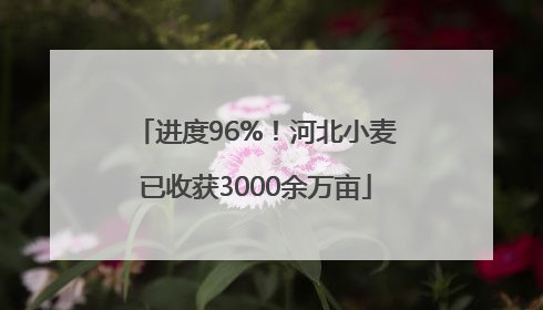 进度96%！河北小麦已收获3000余万亩