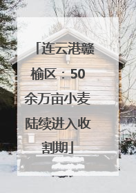 连云港赣榆区：50余万亩小麦陆续进入收割期