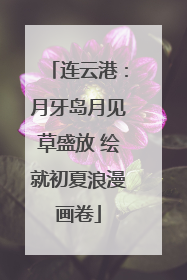 连云港：月牙岛月见草盛放 绘就初夏浪漫画卷