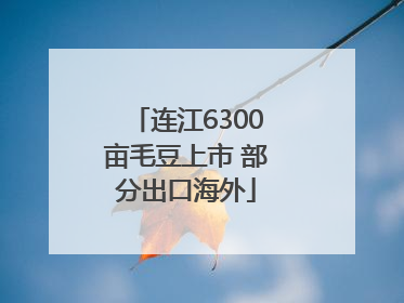 连江6300亩毛豆上市 部分出口海外