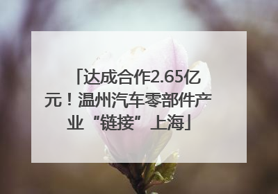 达成合作2.65亿元！温州汽车零部件产业“链接”上海