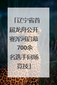 辽宁省首届龙舟公开赛浑河启幕 700余名选手同场竞技