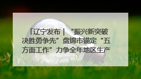 辽宁发布｜“振兴新突破 决胜勇争先”盘锦市锚定“五方面工作”力争全年地区生产总值增长5.5%左右