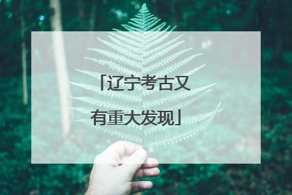 辽宁考古又有重大发现