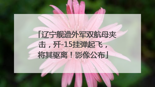 辽宁舰遭外军双航母夹击，歼-15挂弹起飞，将其驱离！影像公布