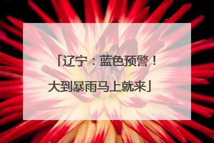 辽宁：蓝色预警！大到暴雨马上就来