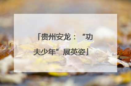 贵州安龙：“功夫少年”展英姿