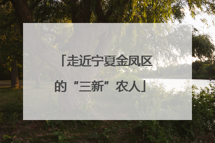 走近宁夏金凤区的“三新”农人