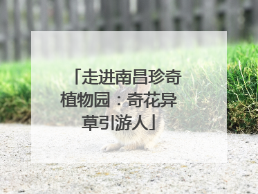 走进南昌珍奇植物园：奇花异草引游人