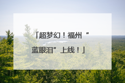 超梦幻！福州“蓝眼泪”上线！