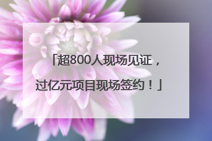 超800人现场见证，过亿元项目现场签约！