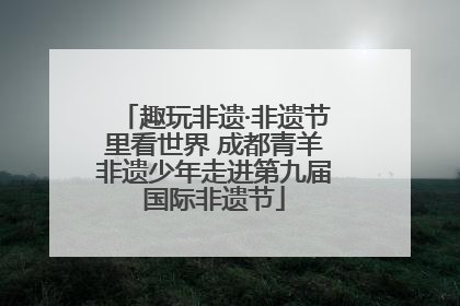 趣玩非遗·非遗节里看世界 成都青羊非遗少年走进第九届国际非遗节
