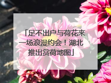 足不出户与荷花来一场浪漫约会！湖北推出赏荷地图