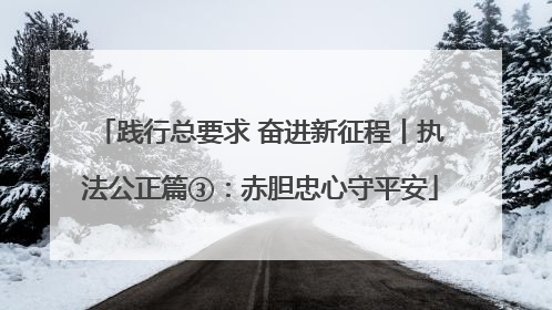 践行总要求 奋进新征程丨执法公正篇③：赤胆忠心守平安