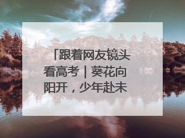 跟着网友镜头看高考｜葵花向阳开，少年赴未来，安乡高考首日的希望图景