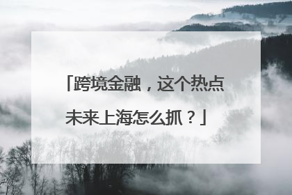 跨境金融，这个热点未来上海怎么抓？
