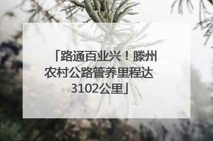 路通百业兴！滕州农村公路管养里程达3102公里