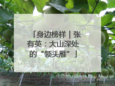 身边榜样｜张有英：大山深处的“领头雁”