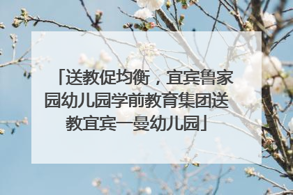 送教促均衡，宜宾鲁家园幼儿园学前教育集团送教宜宾一曼幼儿园