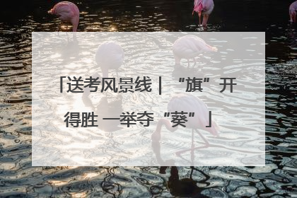 送考风景线｜“旗”开得胜 一举夺“葵”