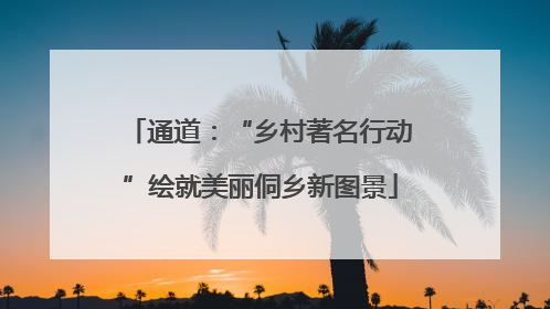 通道：“乡村著名行动”绘就美丽侗乡新图景