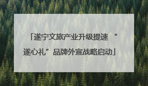 遂宁文旅产业升级提速 “遂心礼”品牌外宣战略启动