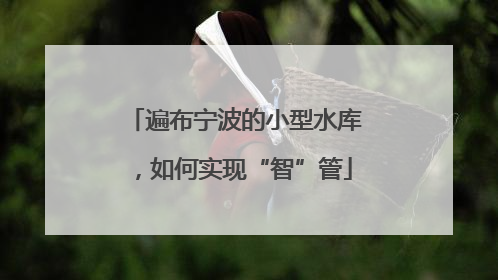 遍布宁波的小型水库，如何实现“智”管
