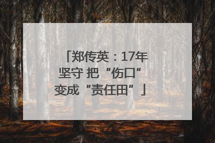 郑传英：17年坚守 把“伤口”变成“责任田”