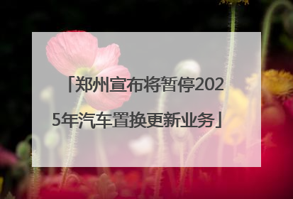 郑州宣布将暂停2025年汽车置换更新业务