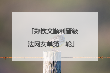 郑钦文顺利晋级法网女单第二轮