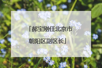 郝宝刚任北京市朝阳区副区长