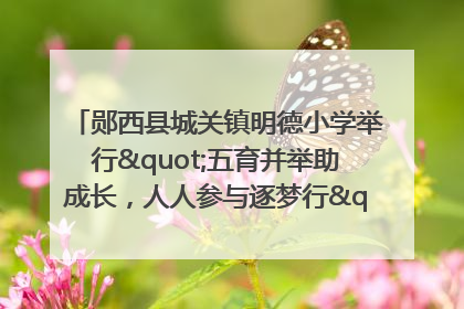 郧西县城关镇明德小学举行"五育并举助成长，人人参与逐梦行"庆六一活动
