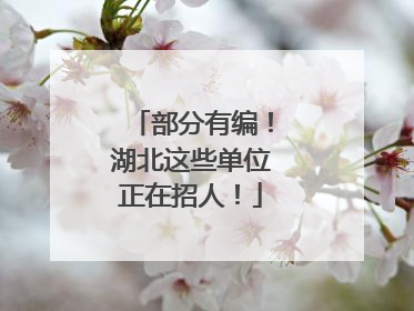 部分有编！湖北这些单位正在招人！