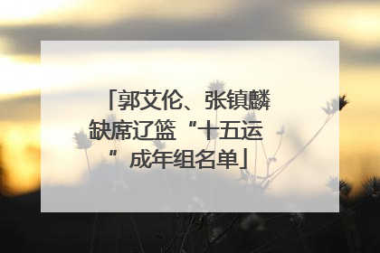 郭艾伦、张镇麟缺席辽篮“十五运”成年组名单