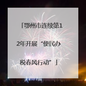 鄂州市连续第12年开展“便民办税春风行动”