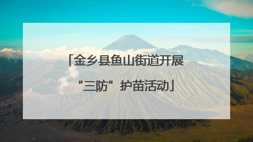 金乡县鱼山街道开展“三防”护苗活动