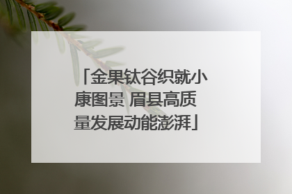 金果钛谷织就小康图景 眉县高质量发展动能澎湃