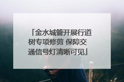 金水城管开展行道树专项修剪 保障交通信号灯清晰可见